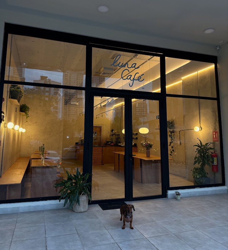 Luna Café interior